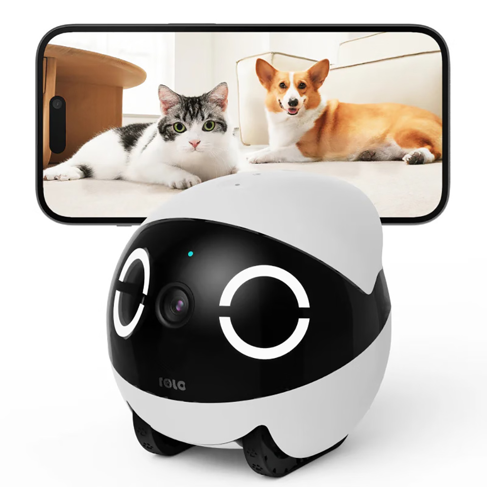 Home Security Pet Tumbler Desi - đánh giá và giá Home Security Robot
